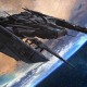 Dota2中国解说高赞发言：“我们不欠任何人一个冠军 选手只欠自己一次全力以赴”